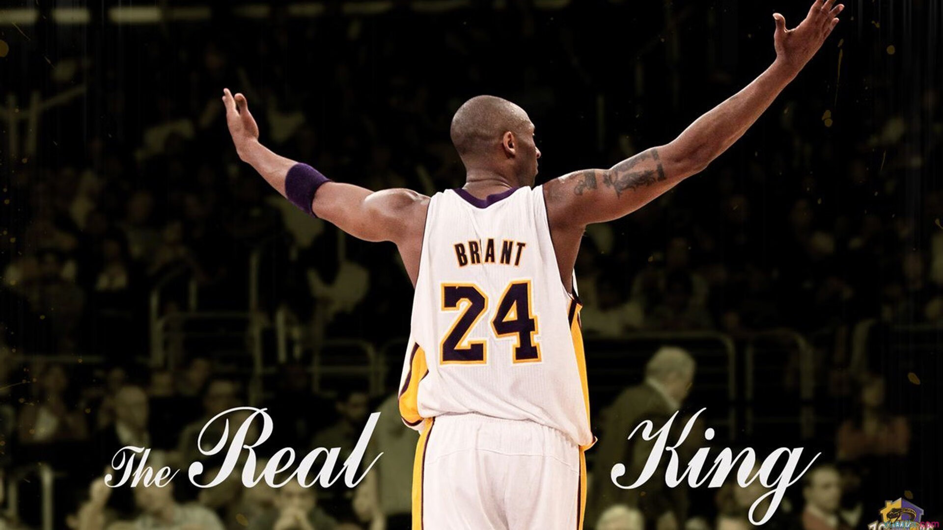 统治级表现,拉塞尔助法拉利击败索伯车队